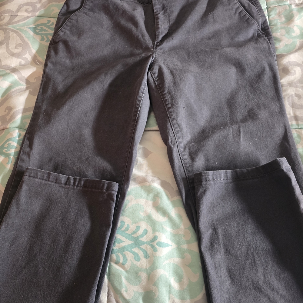 LOFTWomens Charcoal Chinos